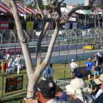 LBGP_0061 (April 16, 2011)